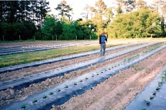 field0